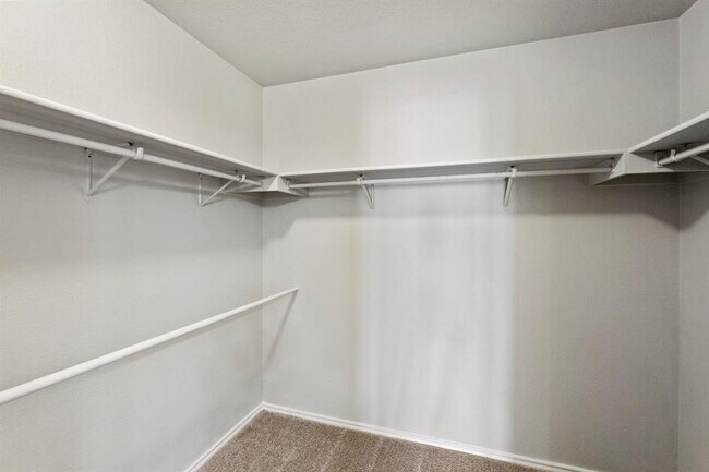 Building Photo - 1809 Ruthie Run