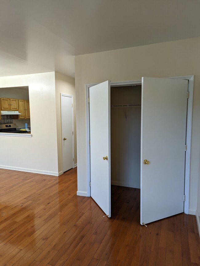 Closet Living / Dining Room - 284 Thomas S Boyland St