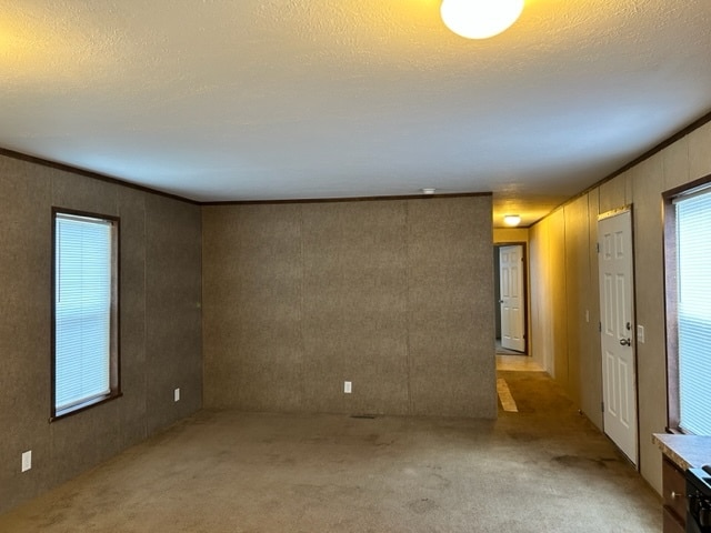 Building Photo - 509 Pettycoat Ln