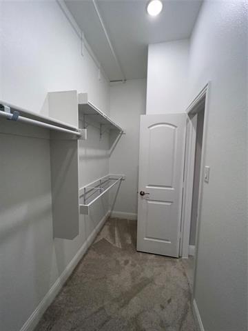 Building Photo - 4008 Whitetail Ln