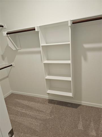 Building Photo - 2410 Bold Venture Dr