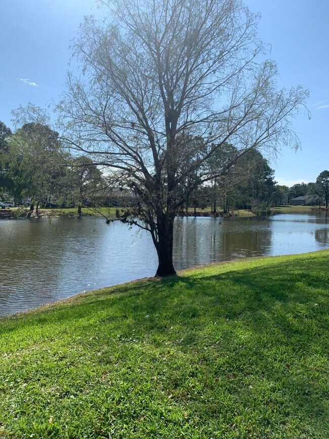 Building Photo - 3/2 Pool Home in Manderley Run