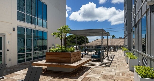 Sundeck-01-RISE-Honolulu-01 - Walter Dods, Jr. RISE Center