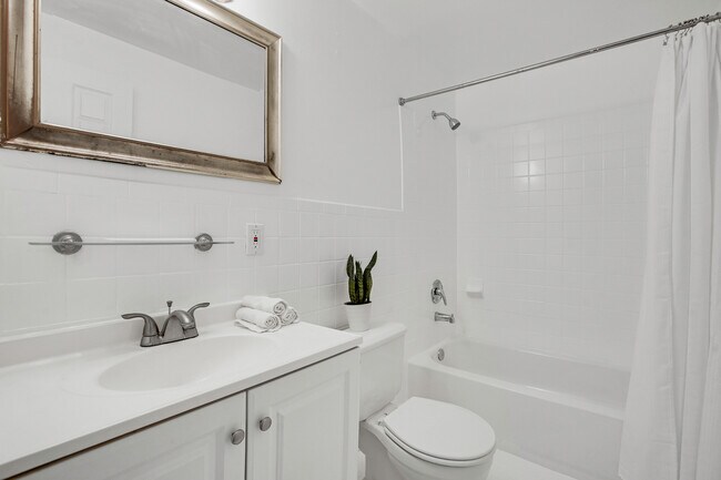 Building Photo - 536 14th St