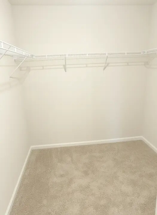 Building Photo - 3904 Silver Spur Rd