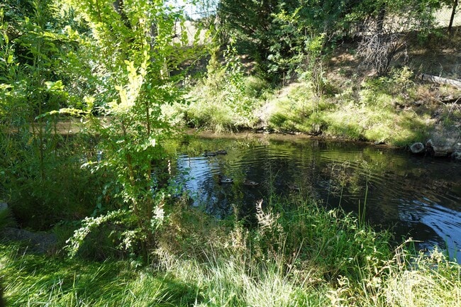 Building Photo - 2747 E Migratory Dr