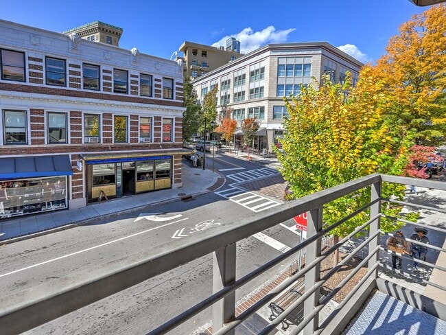 Building Photo - Fully Furnished Newly Remodeled Condo Downtown