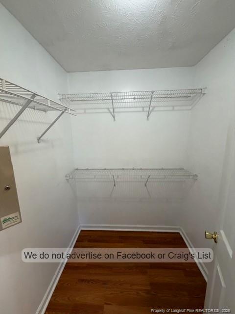 Building Photo - 239 Proclamation Dr