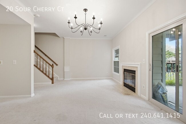 Building Photo - 20 Sour Cherry Ct