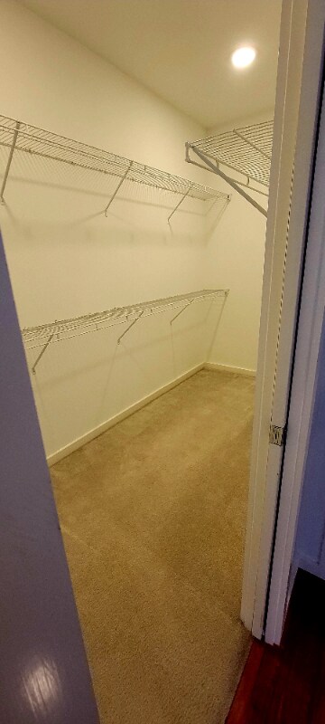 Building Photo - 2920 Cline St