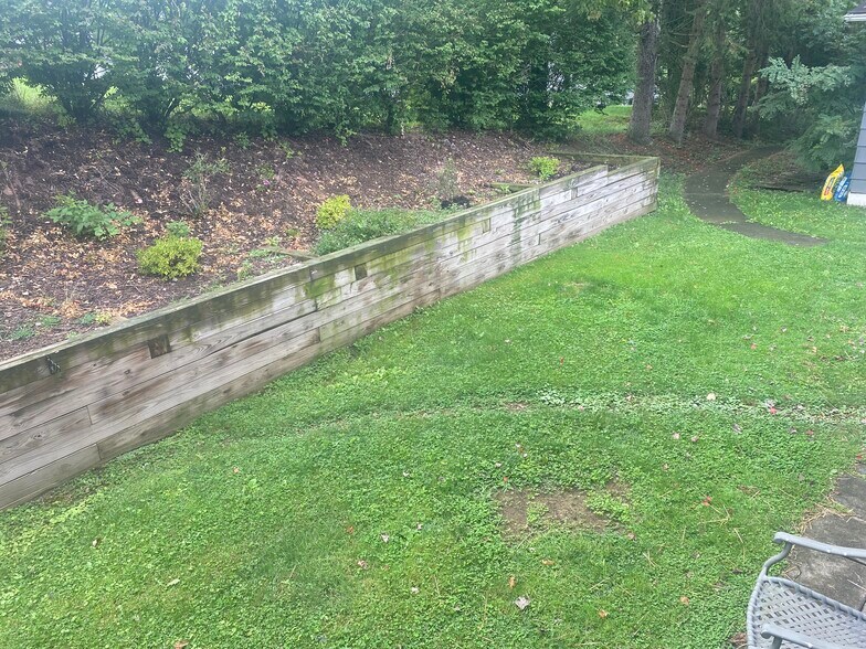 back yard - 817 Elysian Ave