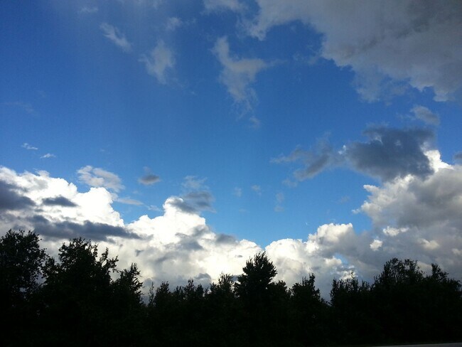 Building Photo - Vero Beach Rentals. Vero Beach Homes For Rent. Vero Beach Rent, LLC and Property Management Company