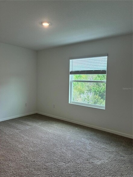 Building Photo - 32519 Midsummer Night Ln