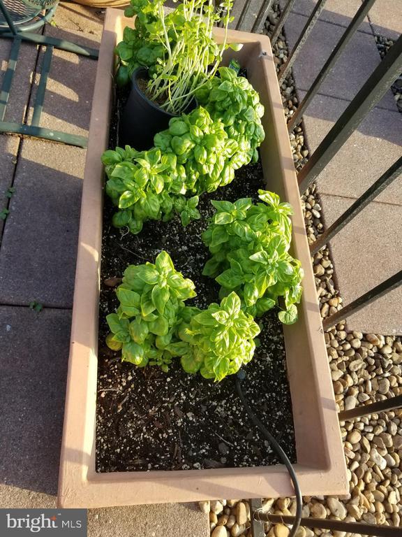 Building Photo - 1435 P St NW