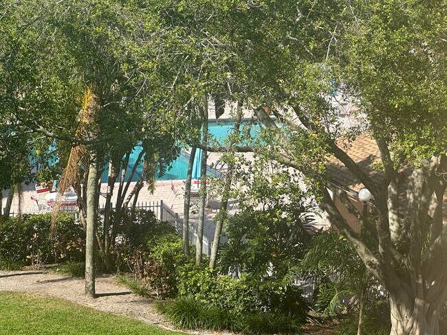 Pool View From Balcony Patio - 2455 Lindell Blvd