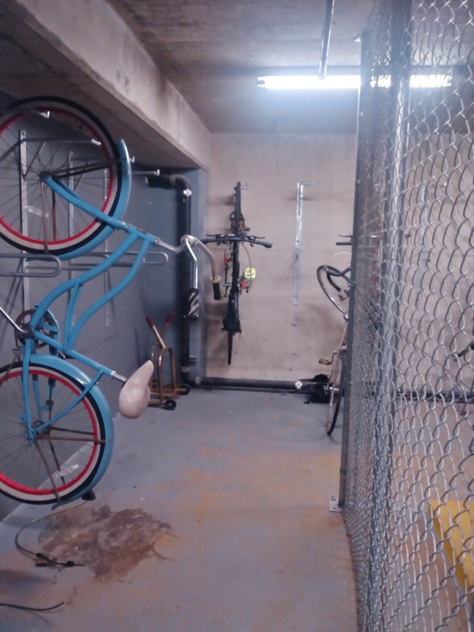 Building Photo - 1551 4th Ave