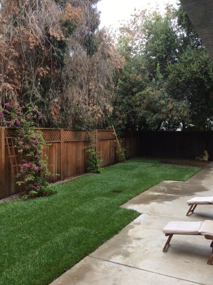 Back yard - 19251 Oxnard St