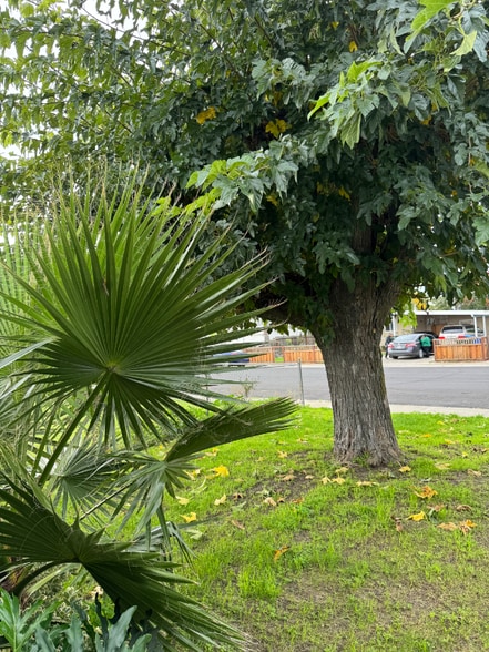 Building Photo - 426 Cowell Ave