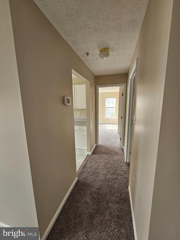 Building Photo - 2443 Blue Spring Ct
