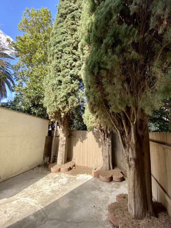 Building Photo - 2116 13th St