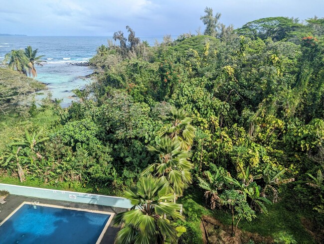 Building Photo - 2BR/1BA Penthouse with Ocean View