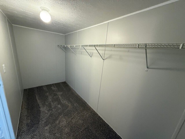 Building Photo - 120 Parma Ct