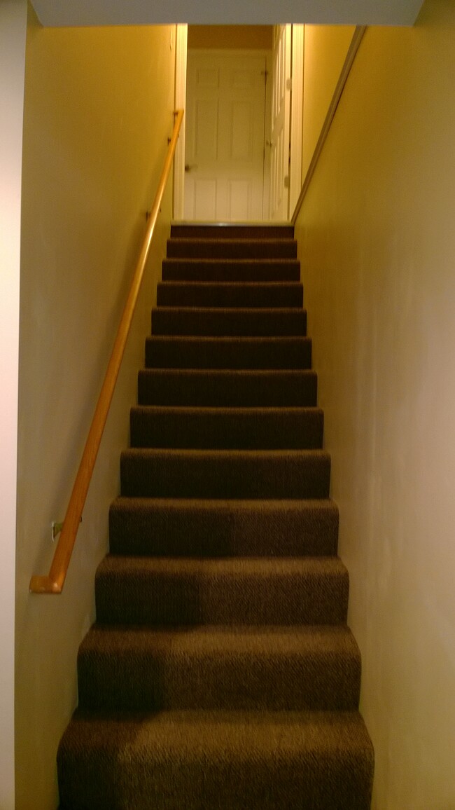Stairway Downstairs - 9644 Meadowland Ct