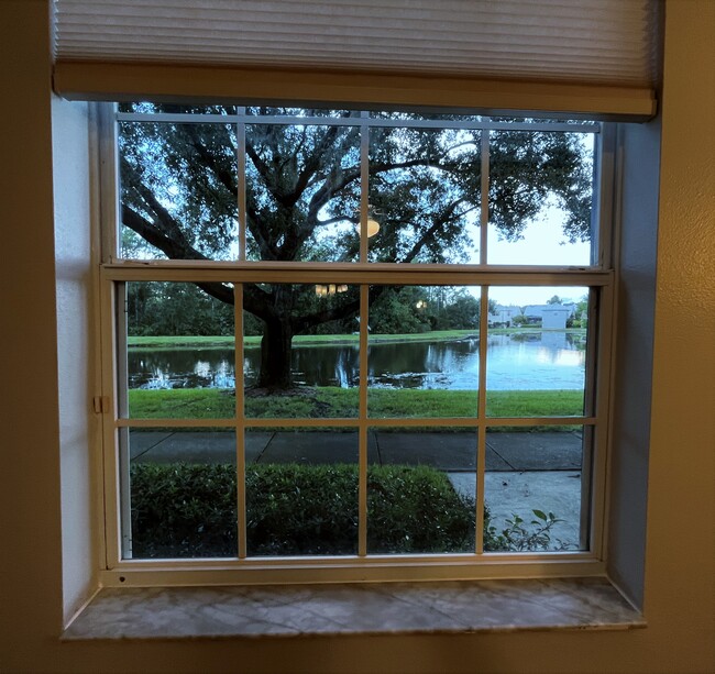 Lake View from Living Room - 13155 Liberty Square Dr