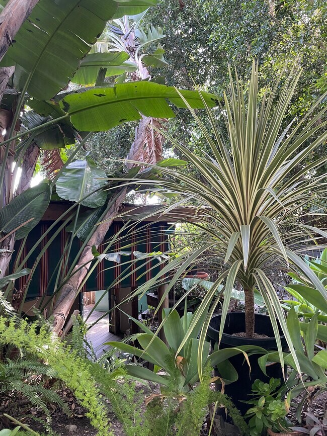 Garden detail - 1521 Portia St