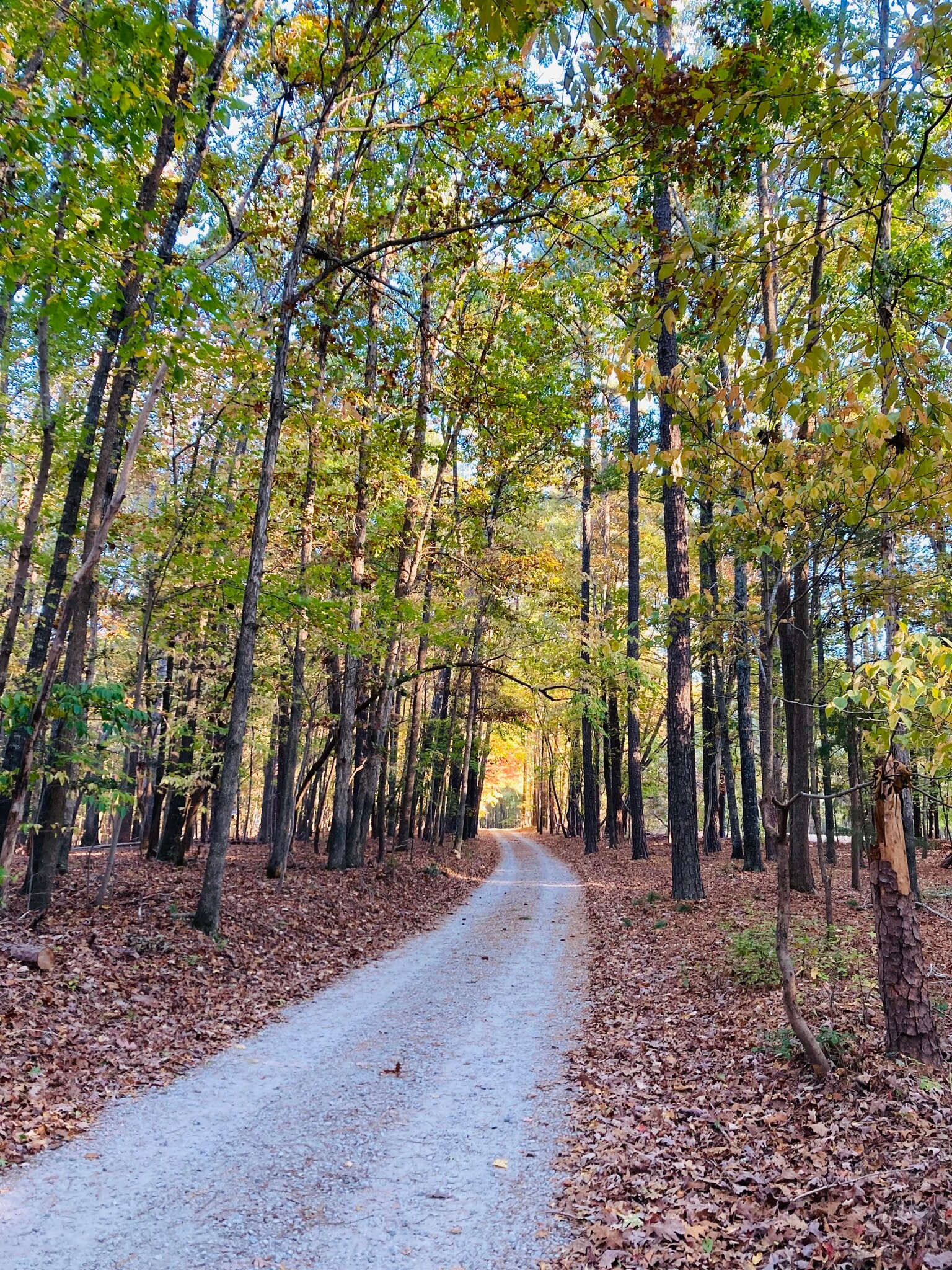 Private road to your retreat away from it all. - 2212 Old Kearney Rd