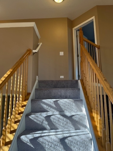 Building Photo - 281 Bay Dr