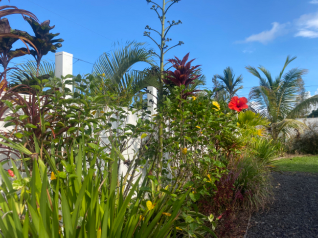 Building Photo - 16-2062-2062 Silversword Dr