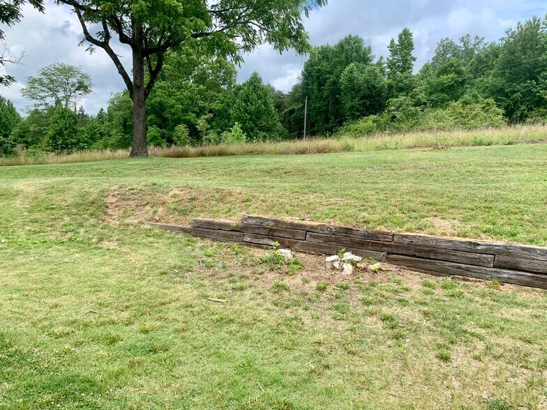 Backyard - 250 Bailey Mill Rd