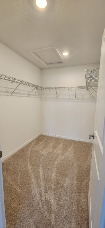 Building Photo - 2136 Hallier Cv