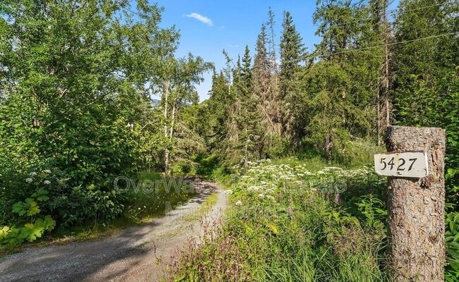 Building Photo - 5427 Wild Mountain Dr