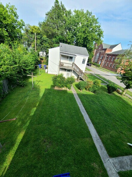 Back yard - 257 Mt Vernon Ave