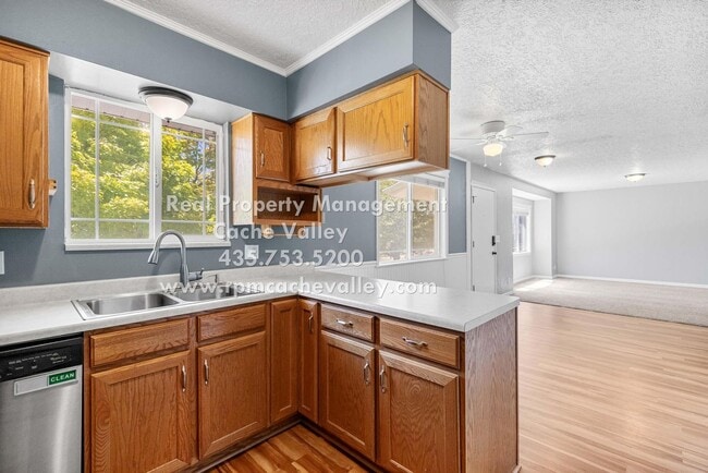 Building Photo - Beautiful 4-Bedroom Home Available in July!