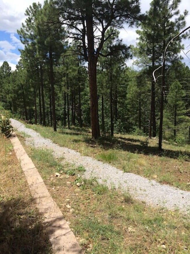 Building Photo - Sweet free standing home in Rio Home abutting forest and trail access