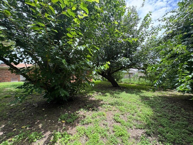 Building Photo - 3-Bedroom House for Rent in Killeen