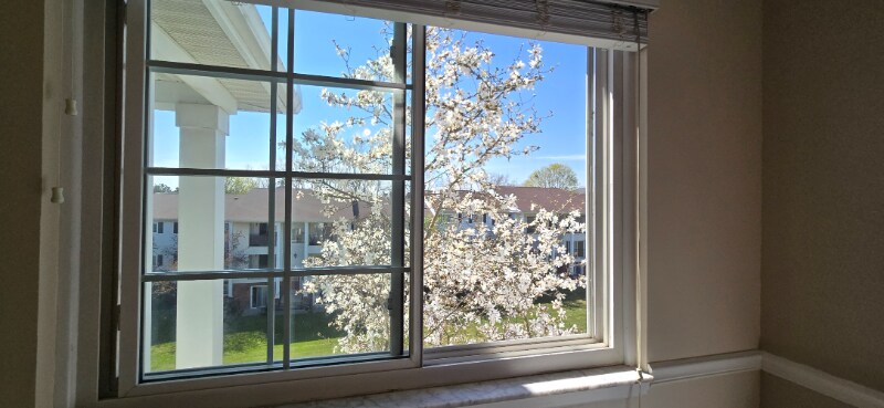 Building Photo - 430 Baldwin Ave