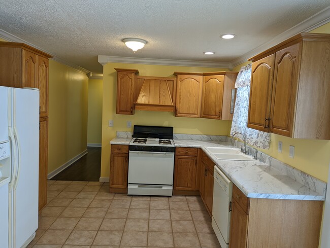 New countertops, Paint, Fixtures. - 302 Mitchell Ave