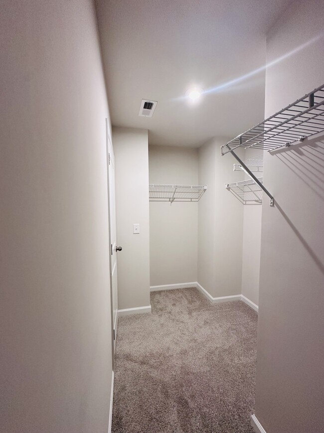 Primary walk-in closet - 12012 Gambrell Dr