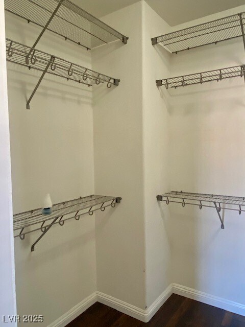 Building Photo - 11238 Star Lily St