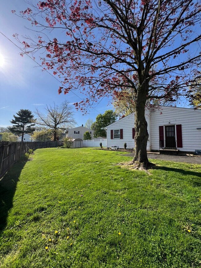 Building Photo - Beautiful 3 BD, 1 BA Lititz Home!