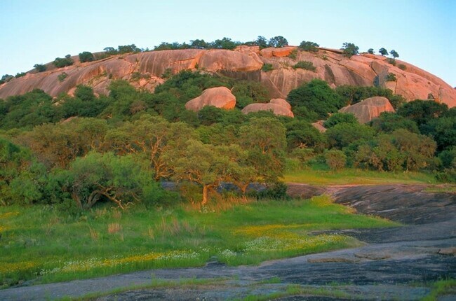 Building Photo - Luxurious 4 BR / 2 BA with THREE-CAR GARAGE - 2314 SF - Harmony Hills, Fredericksburg!
