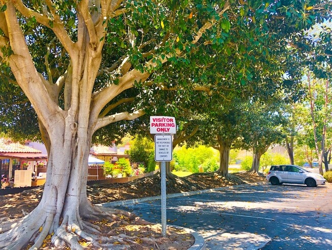 Building Photo - Sweet Single-Story, Completely Detached, in the Picturesque Fallbrook Village HOA Community!