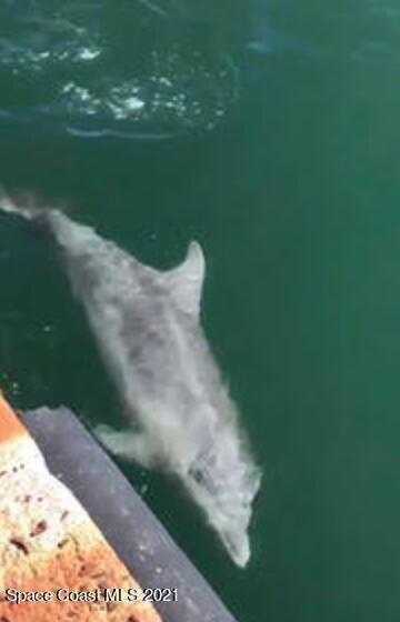 Building Photo - 146 Bimini Rd