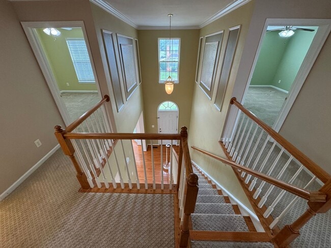 Building Photo - Stunning  4 Bed 3 Bath Home With Spacious ...