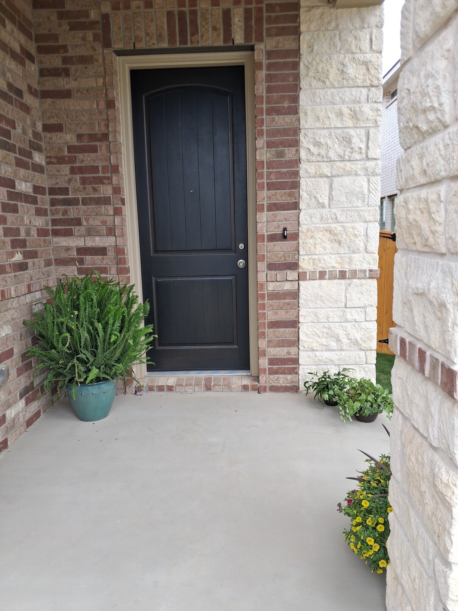 Building Photo - 141 Knockout Rose Dr