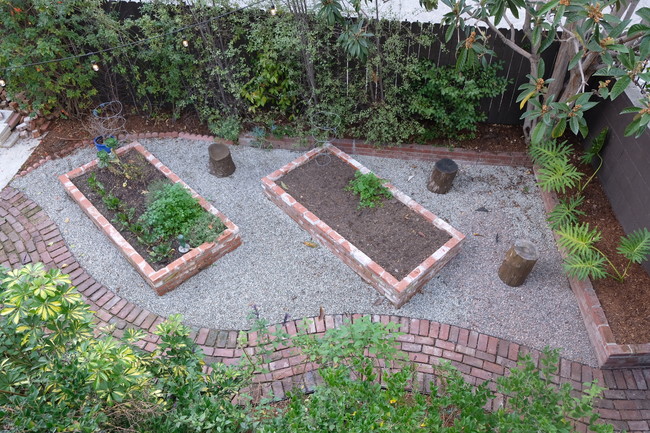 Rasied veggie beds overhead - 1417 Ellsmere Ave